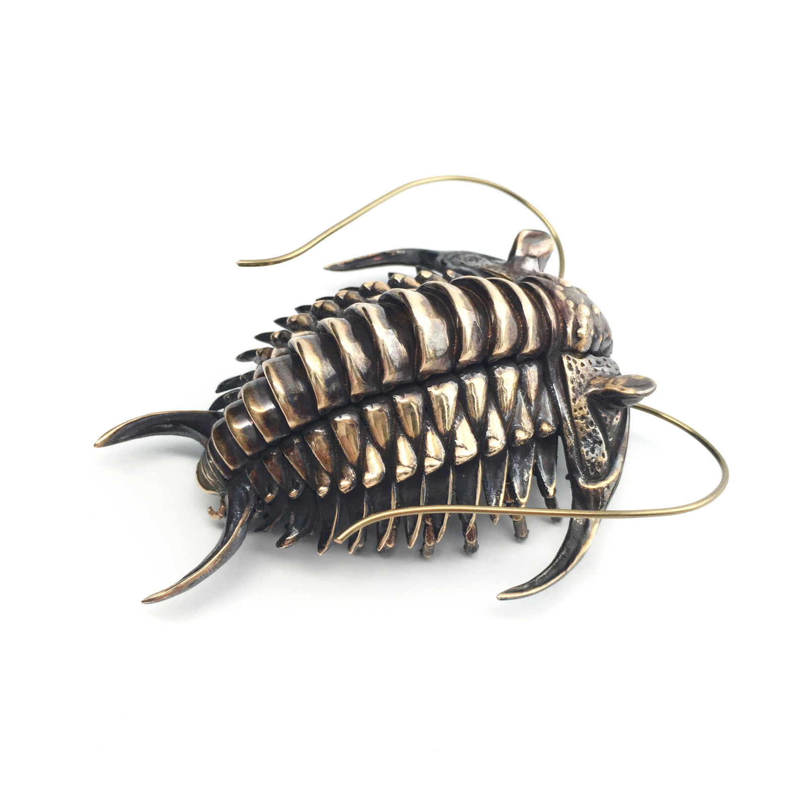 Ceraurus (trilobite)
