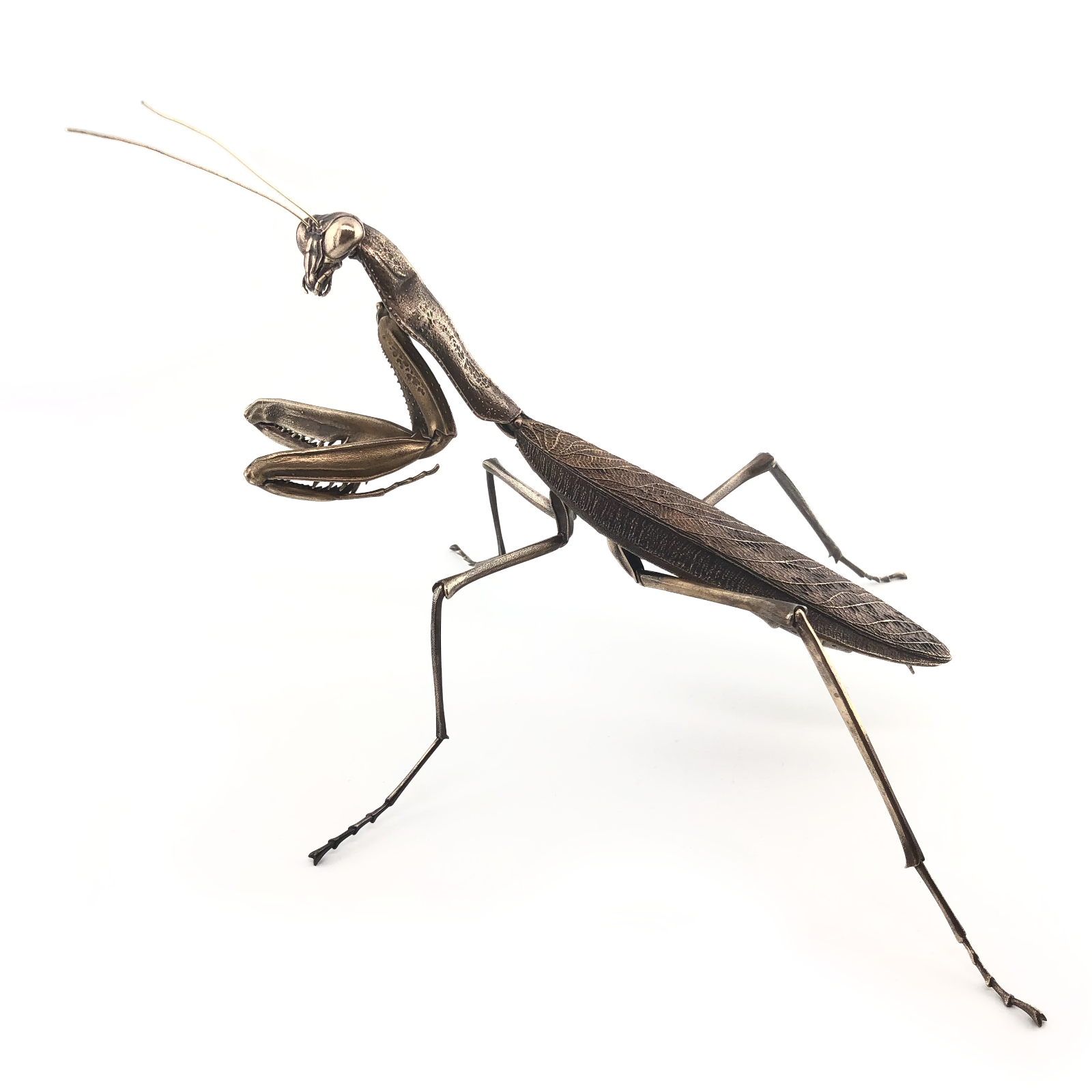 Huntress (praying mantis)