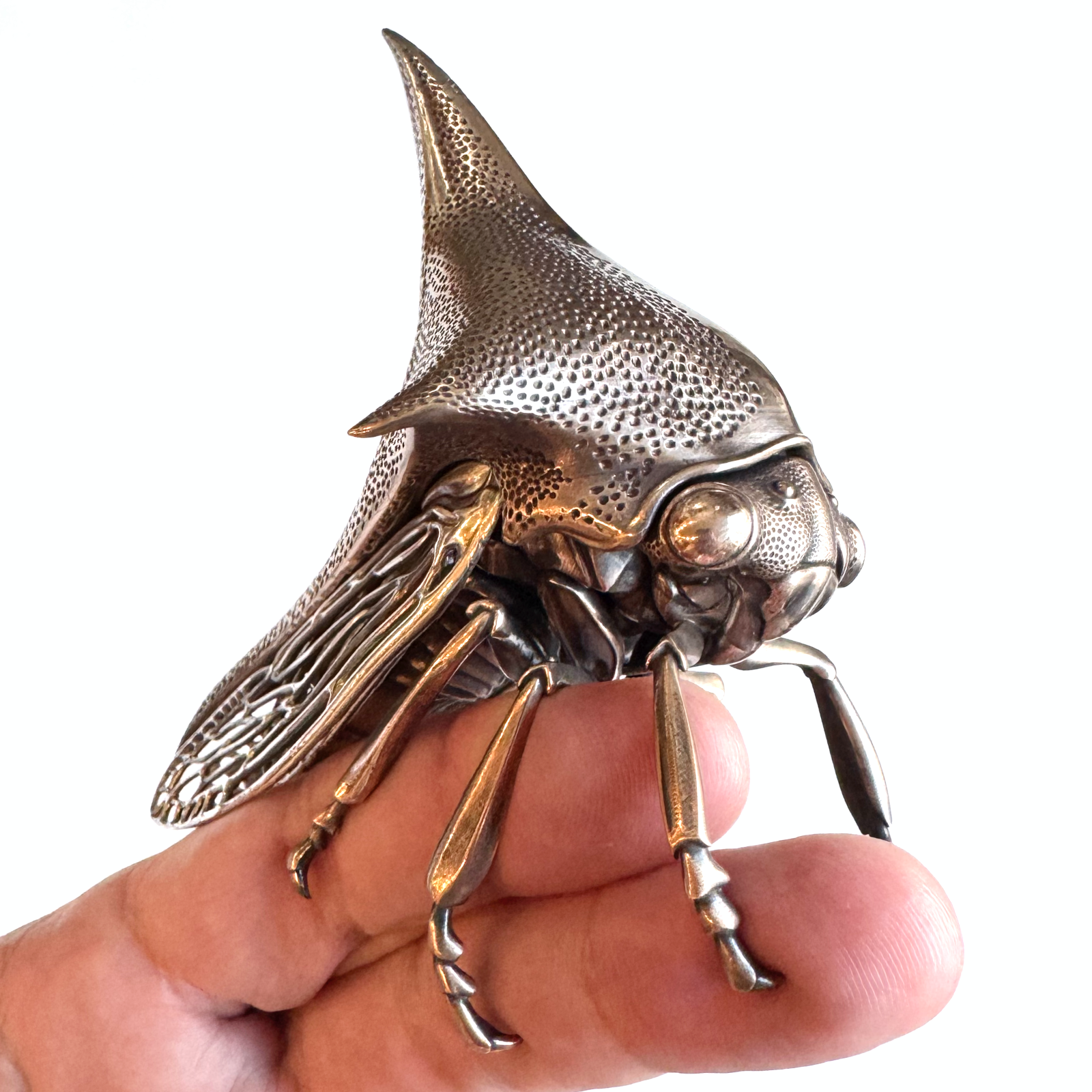 Thorn (treehopper)